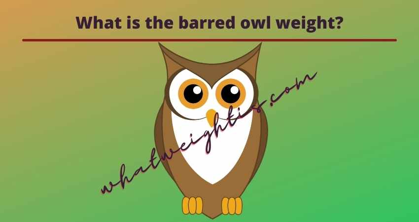 What is the barred owl weight