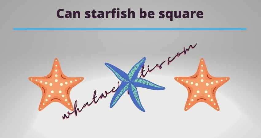 can starfish be square