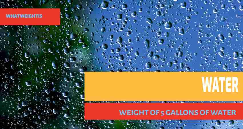 Weight Of 5 Gallons Of Water