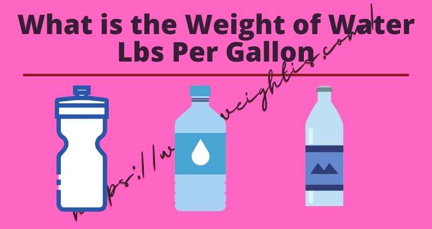 5 lbs of water weight