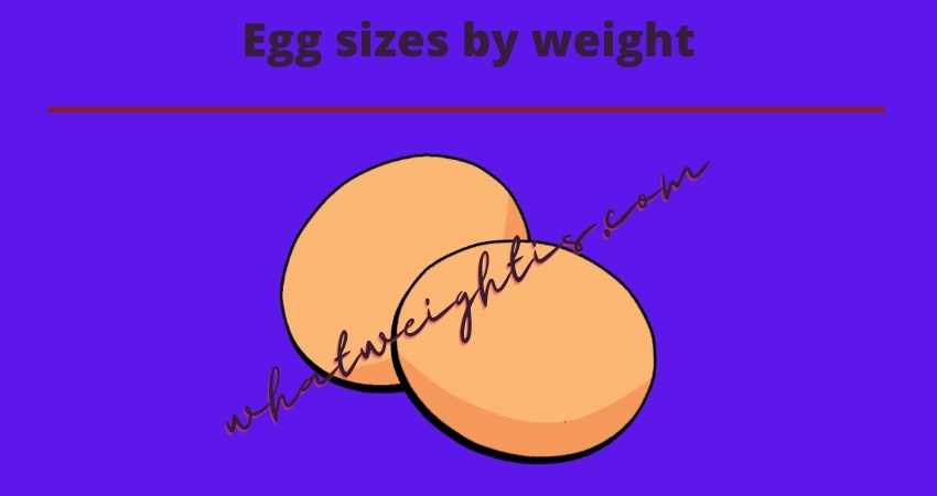 egg sizes by weight